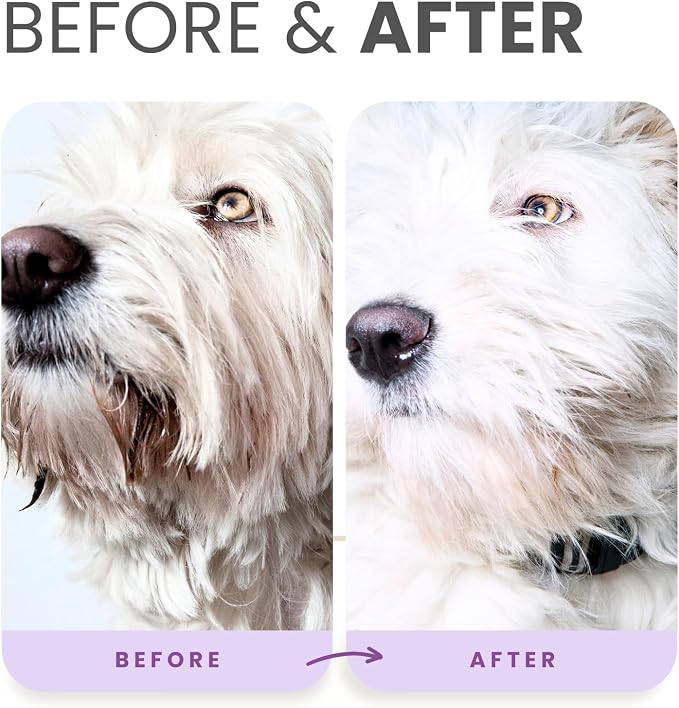 Brightening & Whitening Stain-Removing Dog Shampoo with Aloe (16 fl oz)