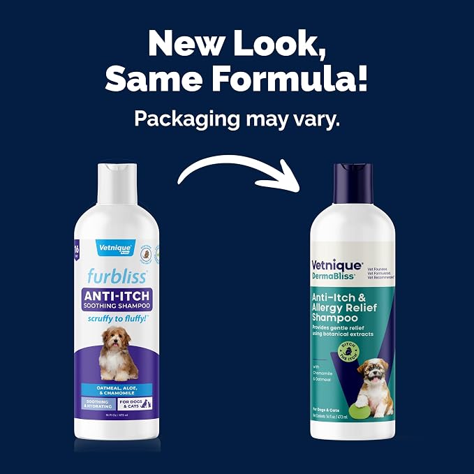 Soothing Medicated Oatmeal & Pramoxine Anti-Itch Dog Shampoo (16 fl oz)