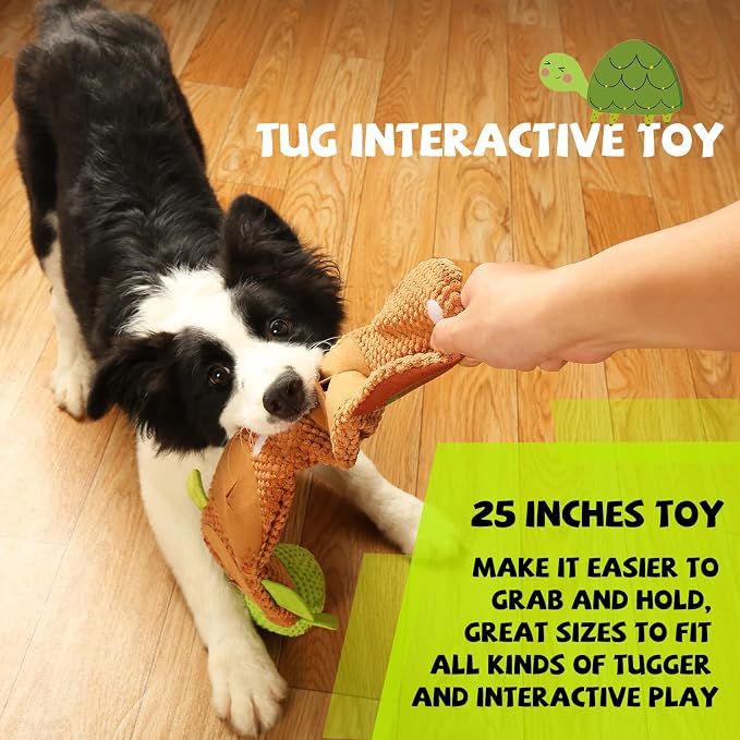 Soft Turtle Squeak & Crinkle Plush Puzzle Toy for Small Dogs & Puppies