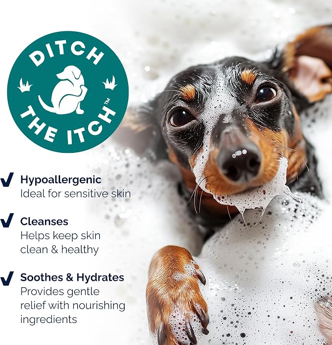 Soothing Medicated Oatmeal & Pramoxine Anti-Itch Dog Shampoo (16 fl oz)