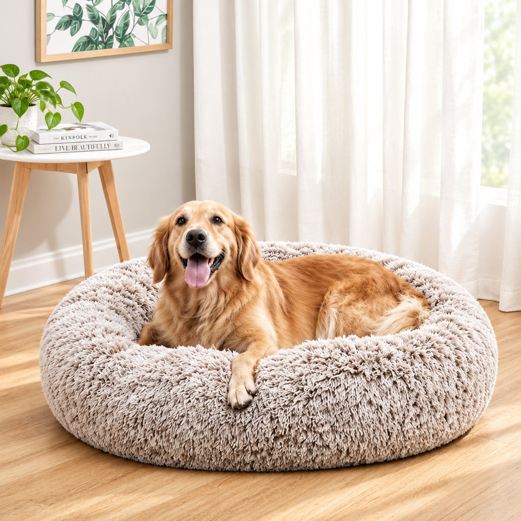 Dog lying on a fluffy pet bed in a room with a side table and curtains.