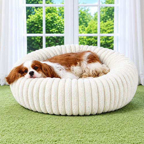 Dog lying on a white plush dog bed in a room with large windows.