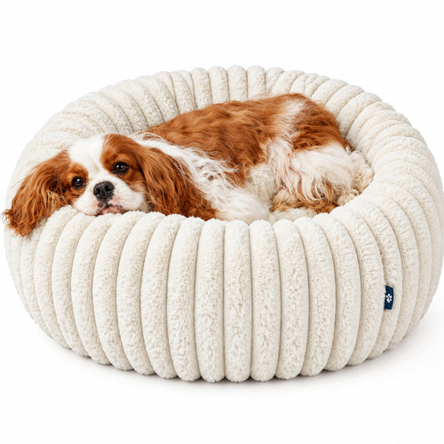 A brown and white dog lying inside a round, cream-colored ribbed pet bed on a white background.