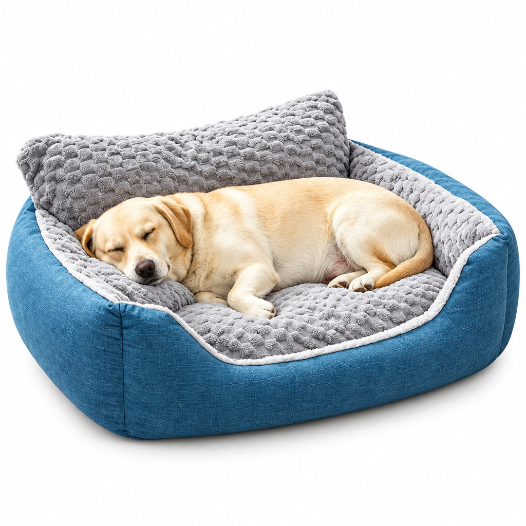Dog resting on a blue and gray pet bed in a cozy room.