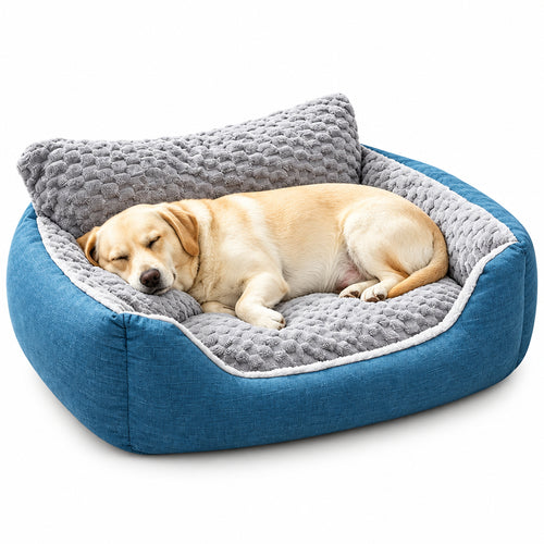 Dog resting on a blue and gray pet bed in a cozy room.
