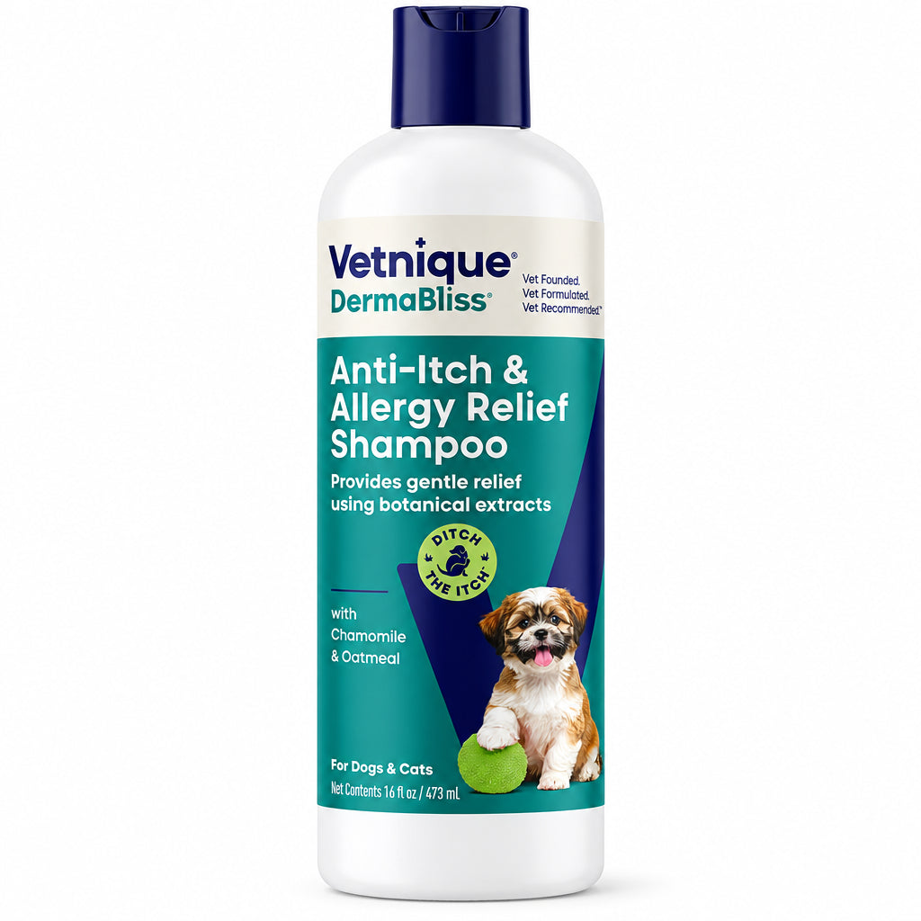 Vetnique DermaBliss Anti-Itch & Allergy Relief Shampoo bottle for dogs and cats on a white background