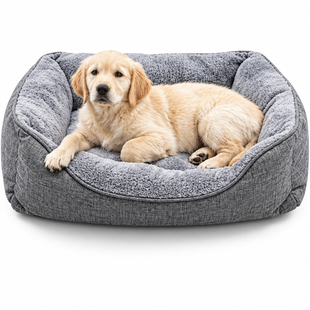 A golden retriever puppy lying inside a plush gray dog bed on a clean white background.